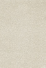 Corallina_productshot 33